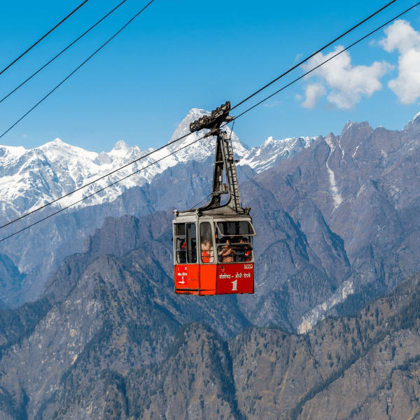 Auli
